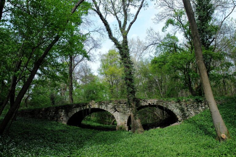 Jarovská bažantnica